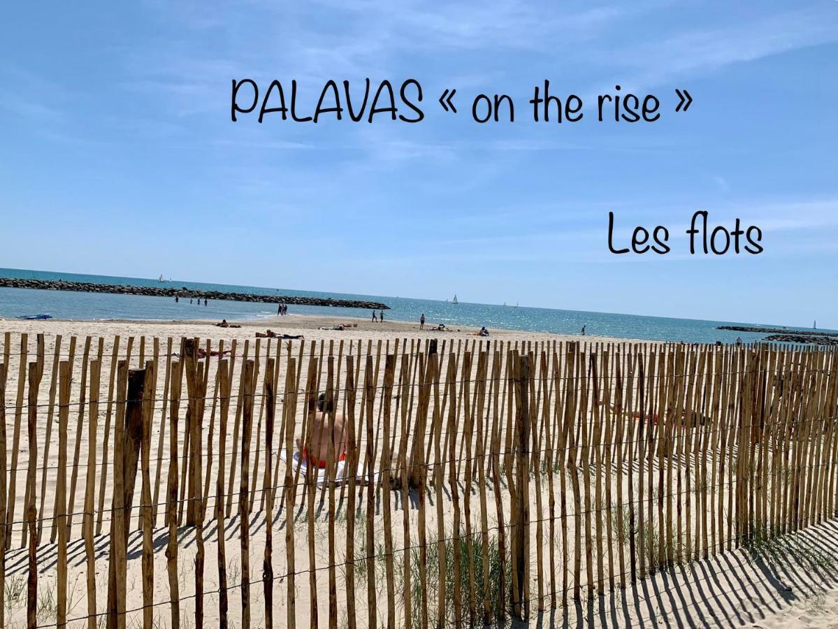 Amerique Hotel Palavas - Piscine - Plage Eksteriør bilde